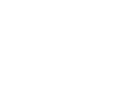 Ícono
